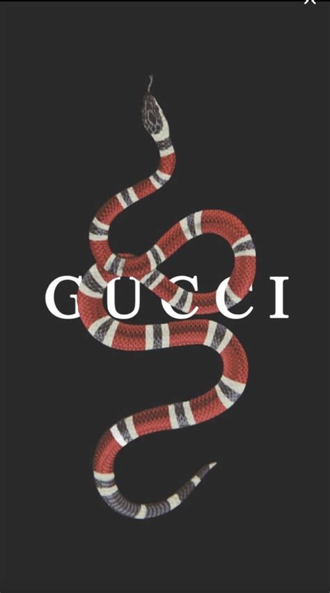 gucci tumblr frasi
